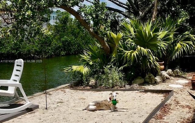 27316 Cayman Lane, Unit 1 2 Lower Keys, FL 33042 - Photo 54 of 61