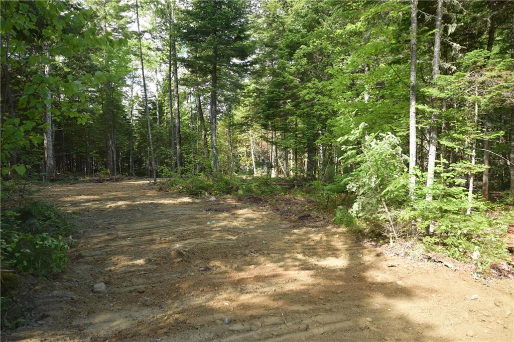 Lot 13 Little Stream Road Lincoln, ME 04457 - Photo 3 of 6 Photo