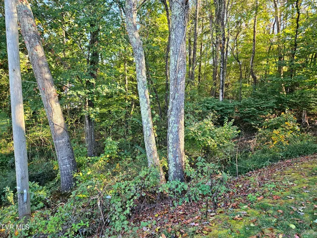 $319,900 | 149 Sherwood Circle, Ridgeway, VA 24148