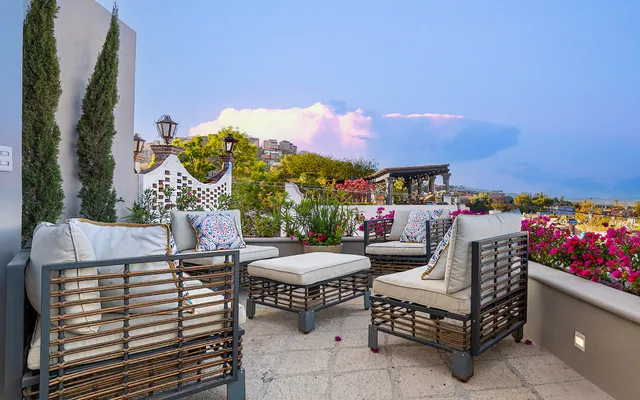 a outdoor space with the couches and a potted plant