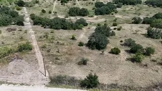 a view of a dry yard with lots of green space