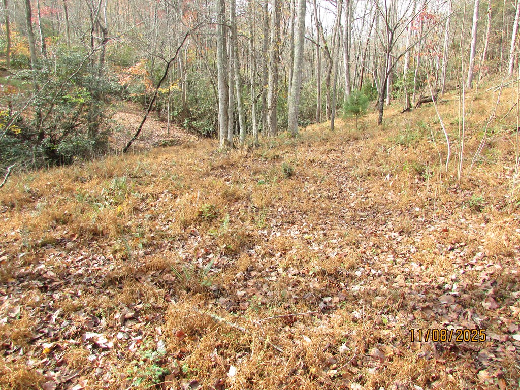 6 Wikle Road Hayesville, NC 28904 - Photo 13 of 19 Gallery Image 13