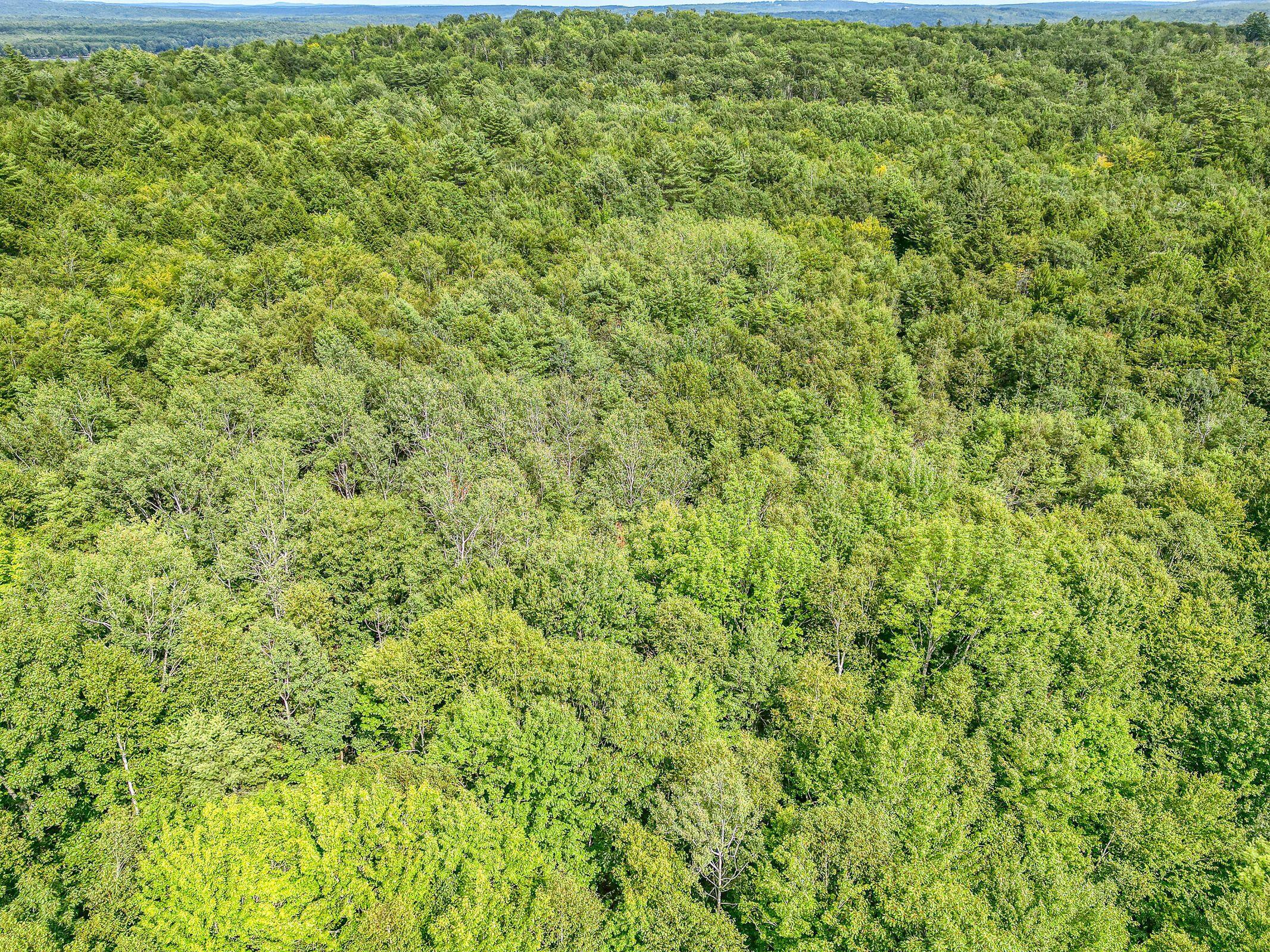 24-a-1a Scribner Hill Road Otisfield, ME 04270 - Photo 18 of 25 summer