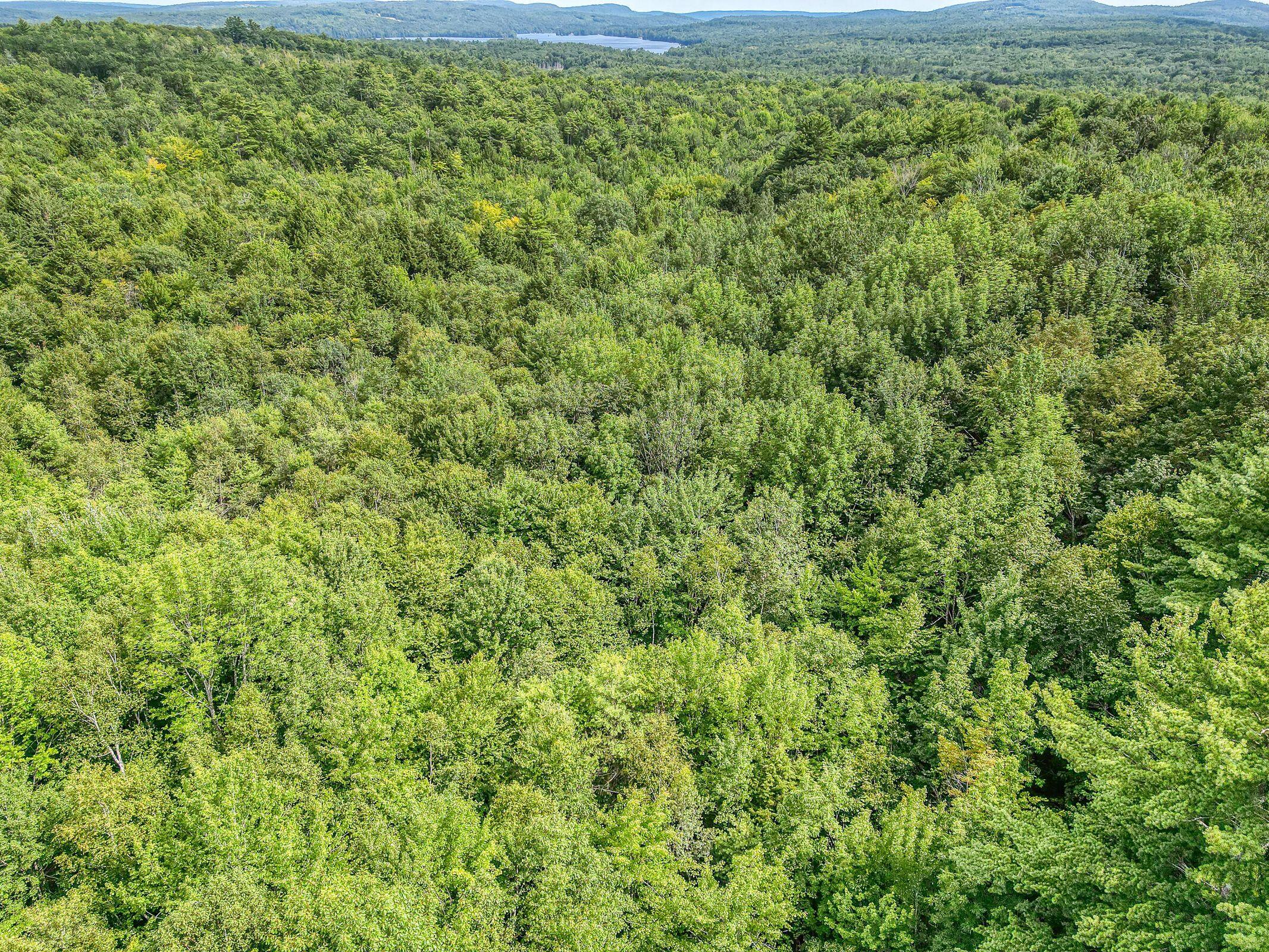 24-a-1a Scribner Hill Road Otisfield, ME 04270 - Photo 19 of 25 40+ acres Summer