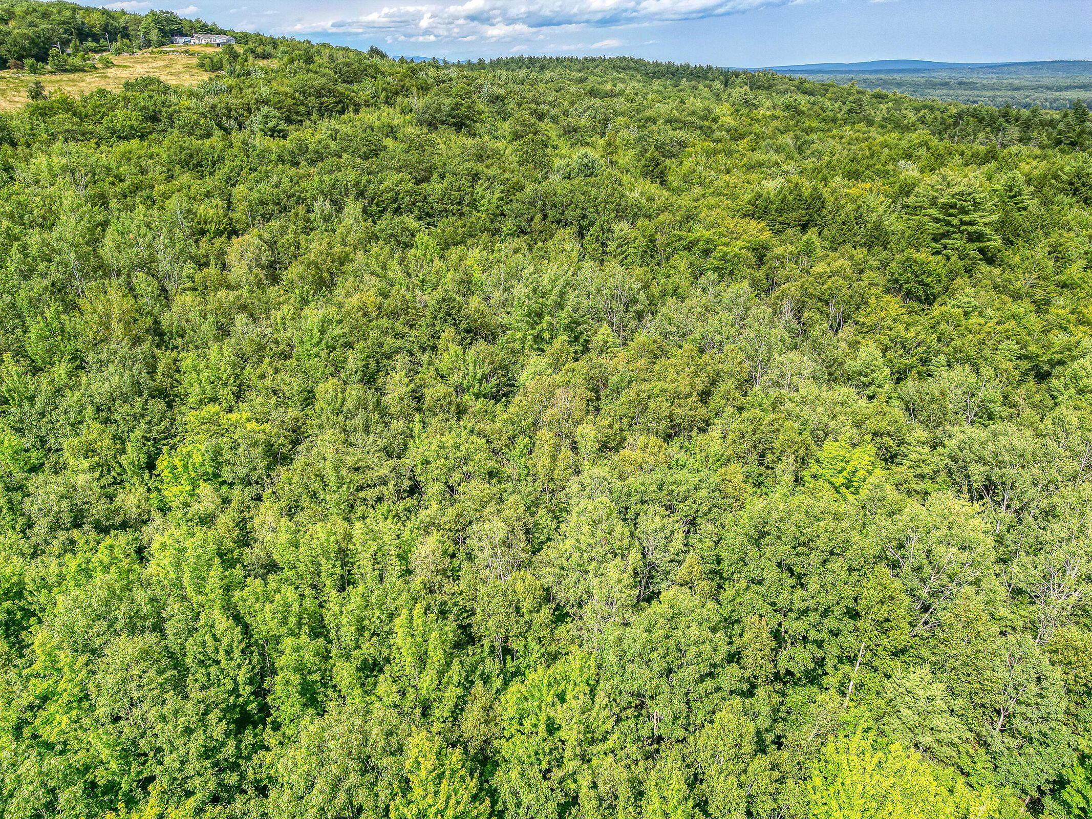 24-a-1a Scribner Hill Road Otisfield, ME 04270 - Photo 20 of 25 40+ acres