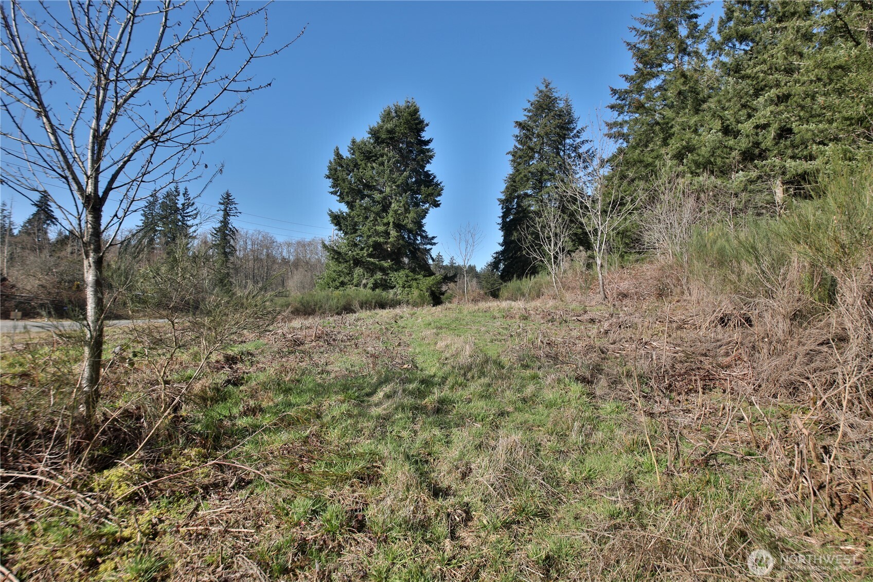 525 Rd Langley Wa 98260 Road Langley, WA 98260 - Photo 11 of 24