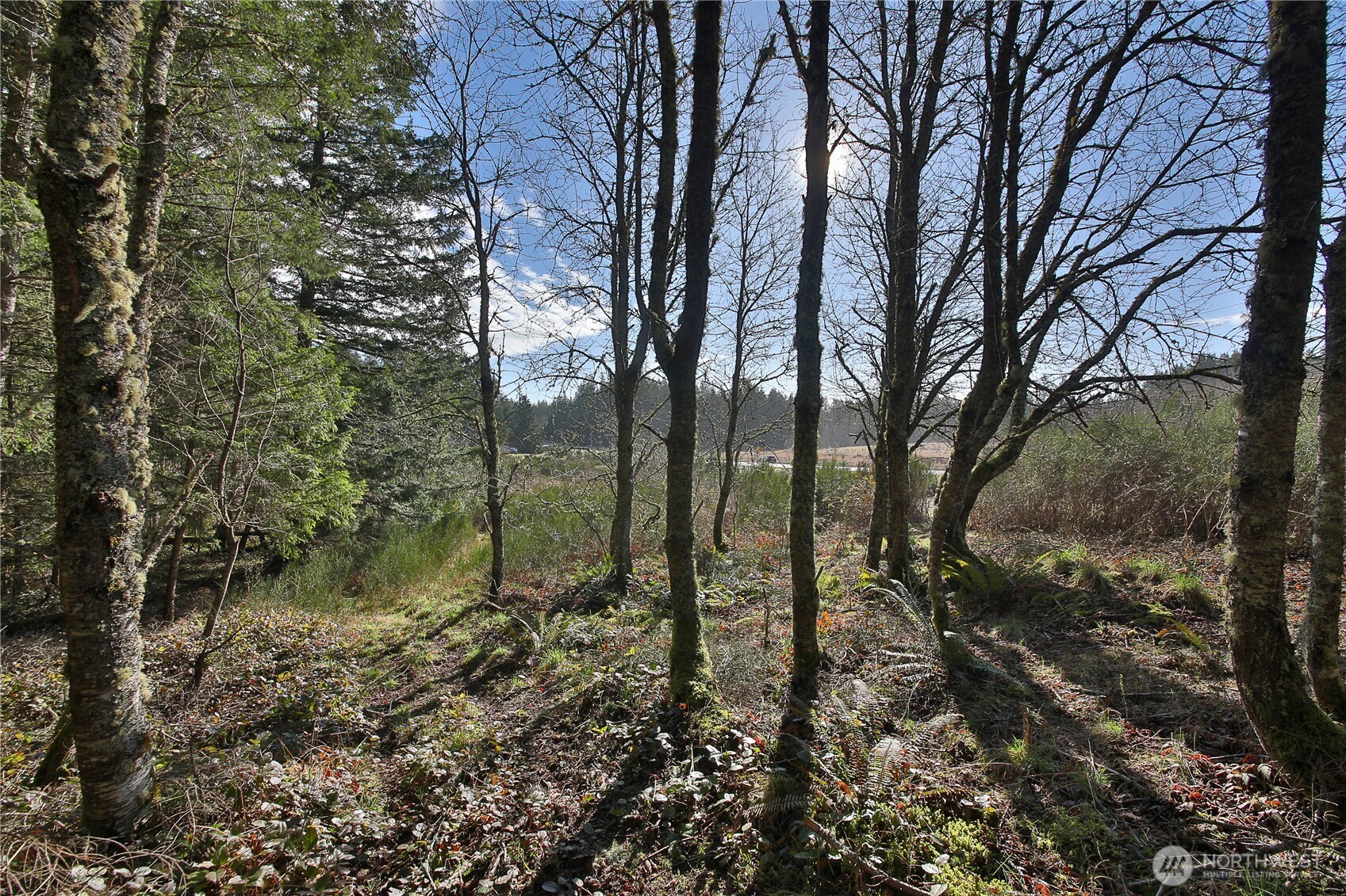 525 Rd Langley Wa 98260 Road Langley, WA 98260 - Photo 13 of 24