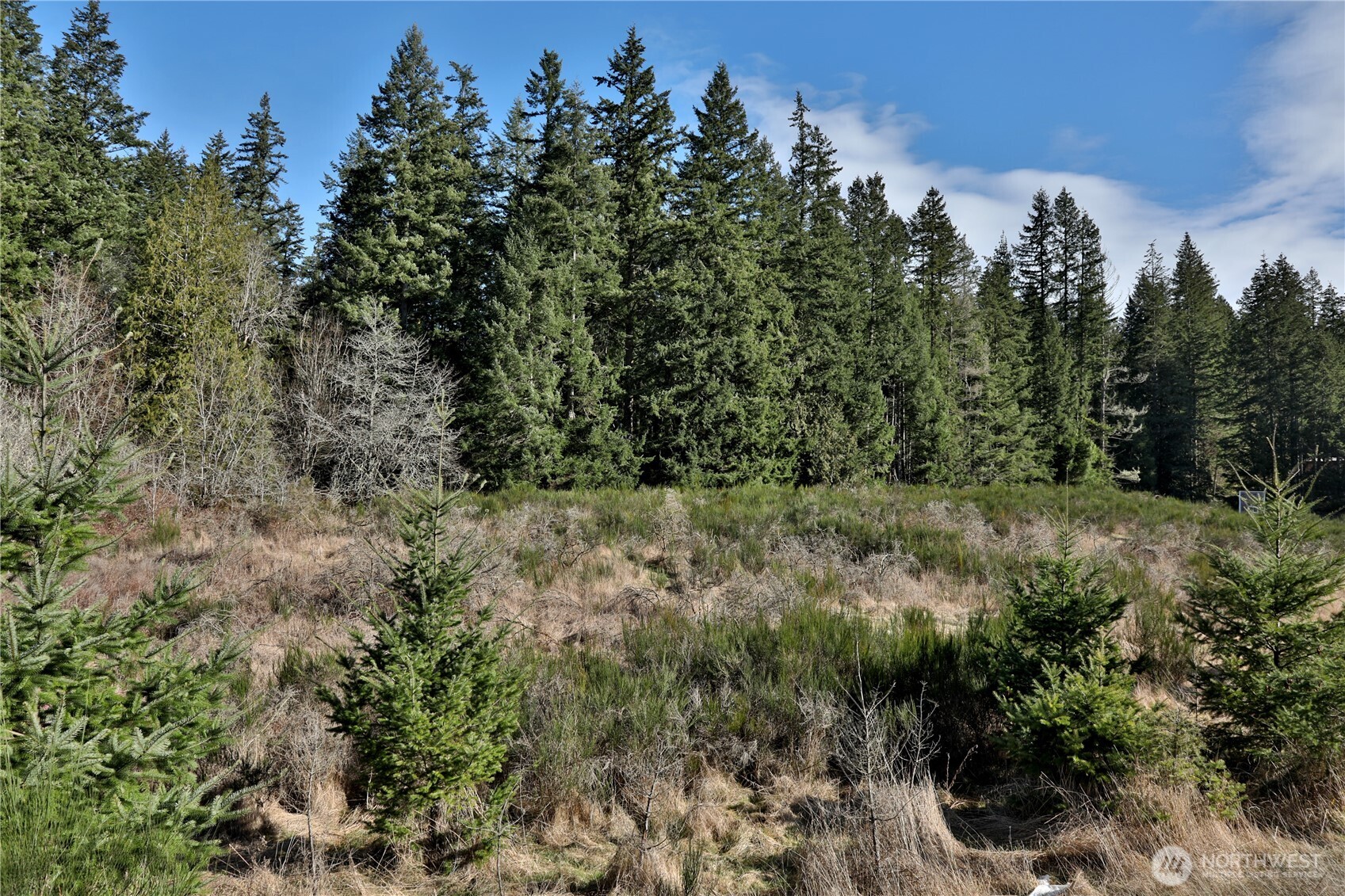 525 Rd Langley Wa 98260 Road Langley, WA 98260 - Photo 15 of 24