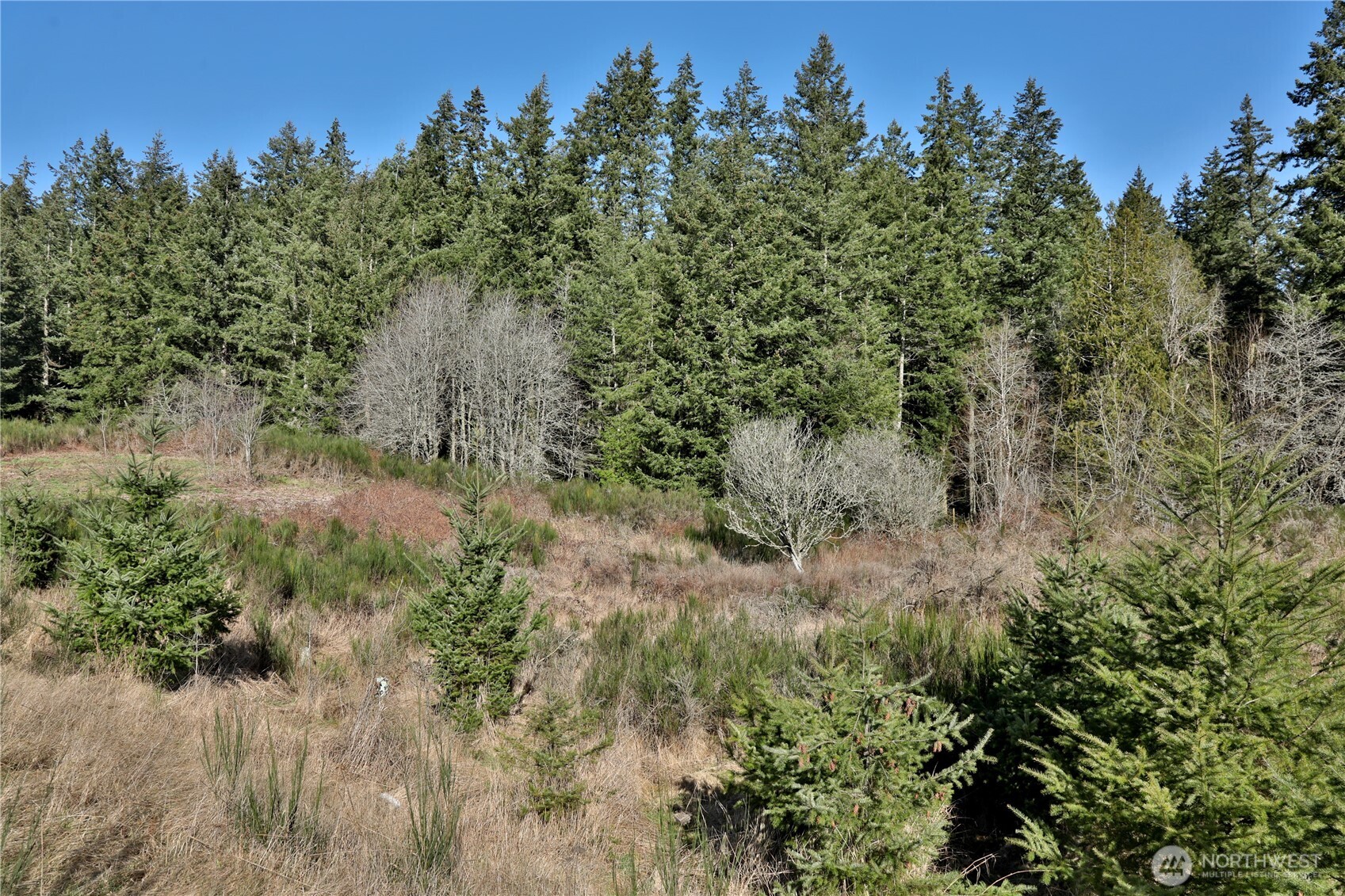 525 Rd Langley Wa 98260 Road Langley, WA 98260 - Photo 16 of 24