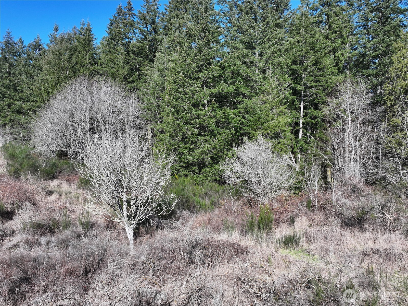 525 Rd Langley Wa 98260 Road Langley, WA 98260 - Photo 20 of 24