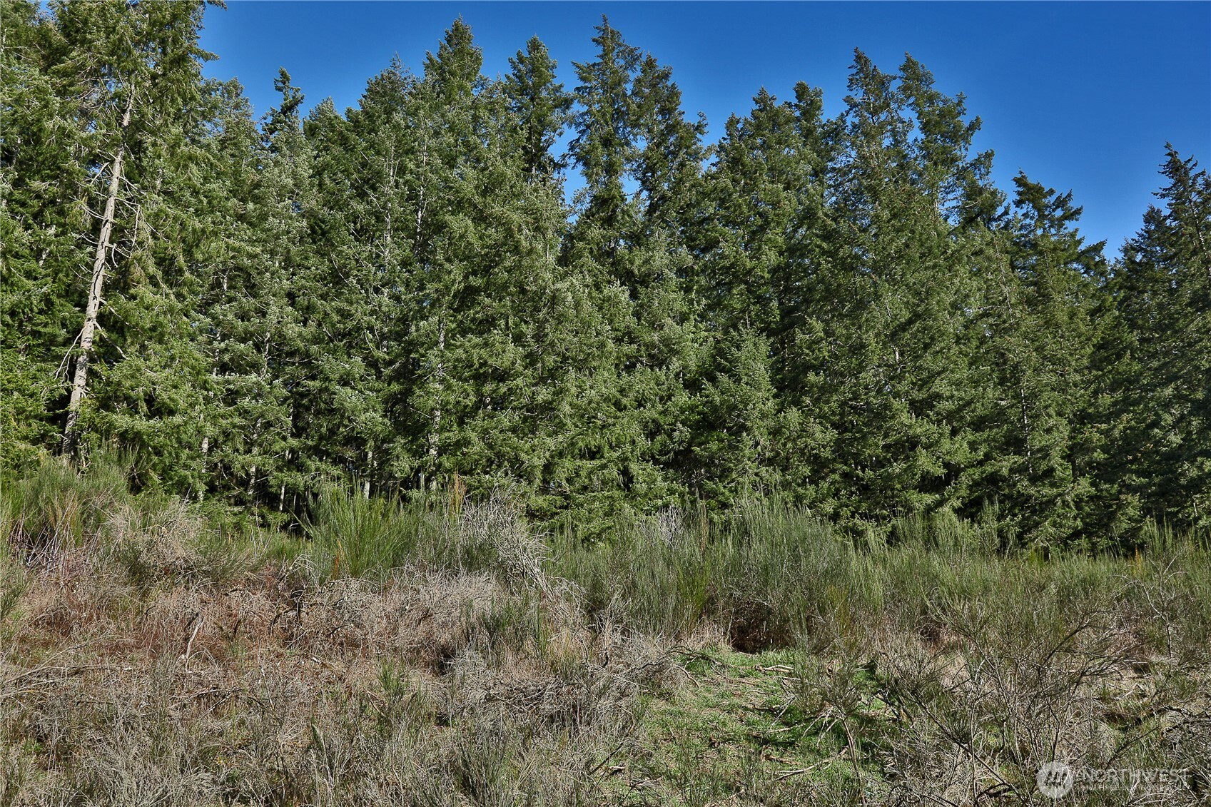 525 Rd Langley Wa 98260 Road Langley, WA 98260 - Photo 3 of 24