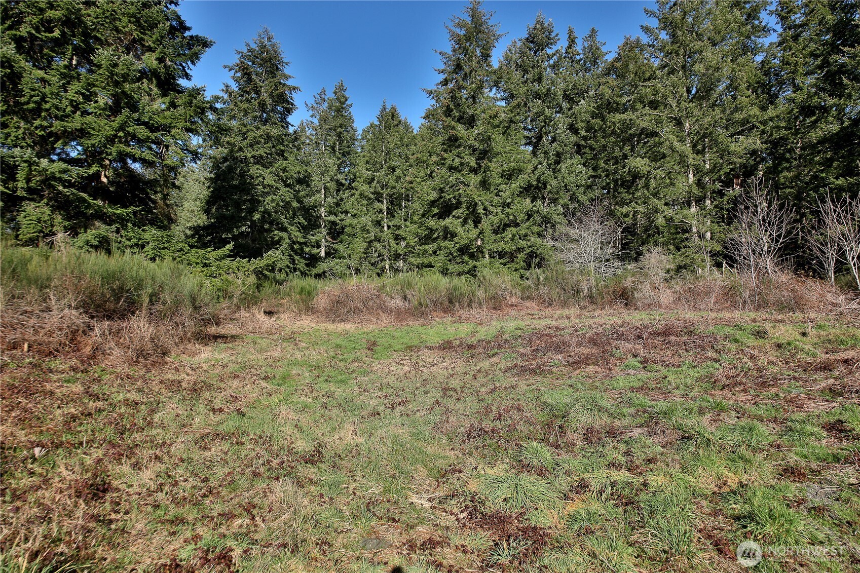 525 Rd Langley Wa 98260 Road Langley, WA 98260 - Photo 6 of 24