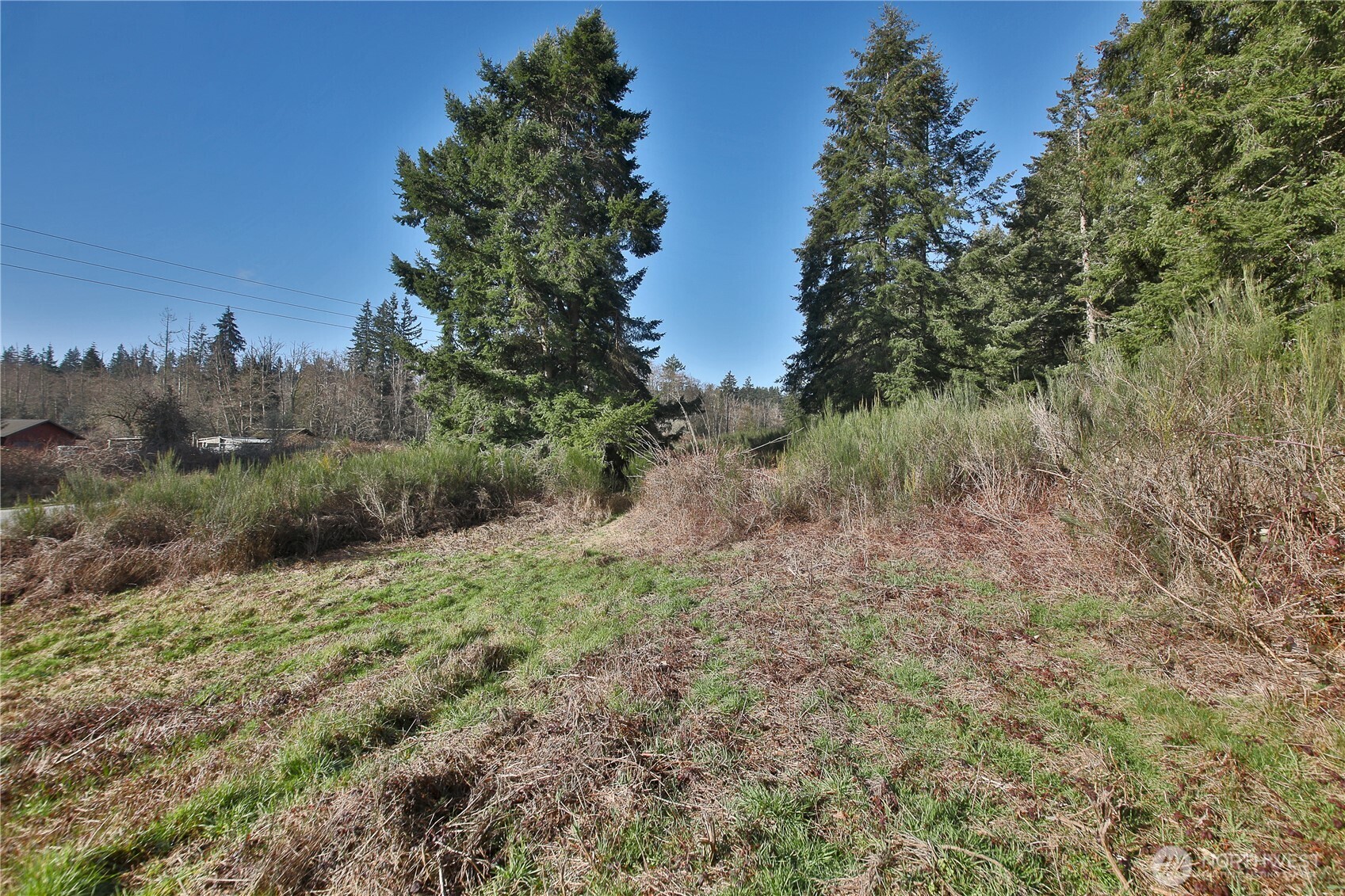 525 Rd Langley Wa 98260 Road Langley, WA 98260 - Photo 8 of 24