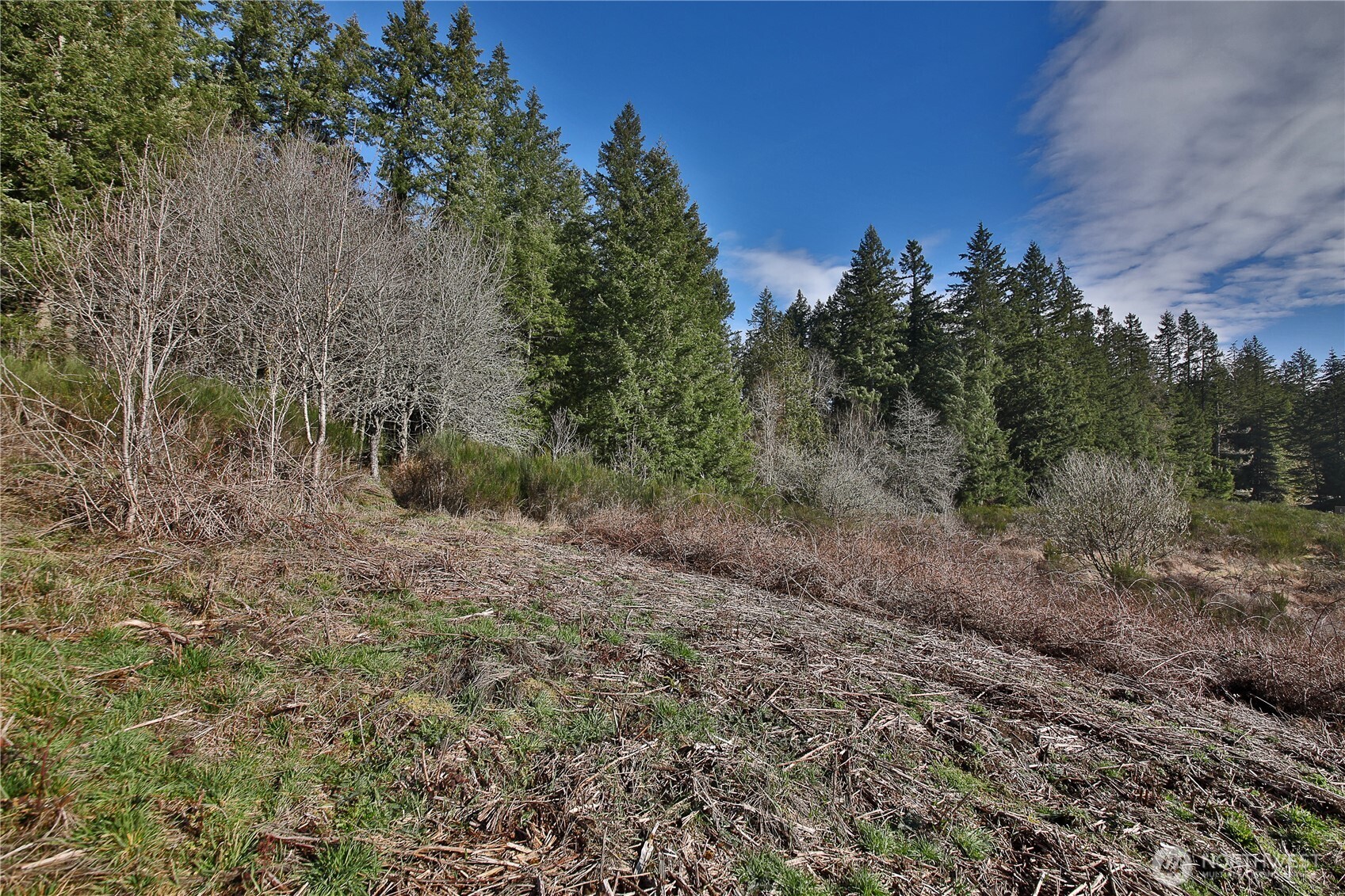 525 Rd Langley Wa 98260 Road Langley, WA 98260 - Photo 10 of 24