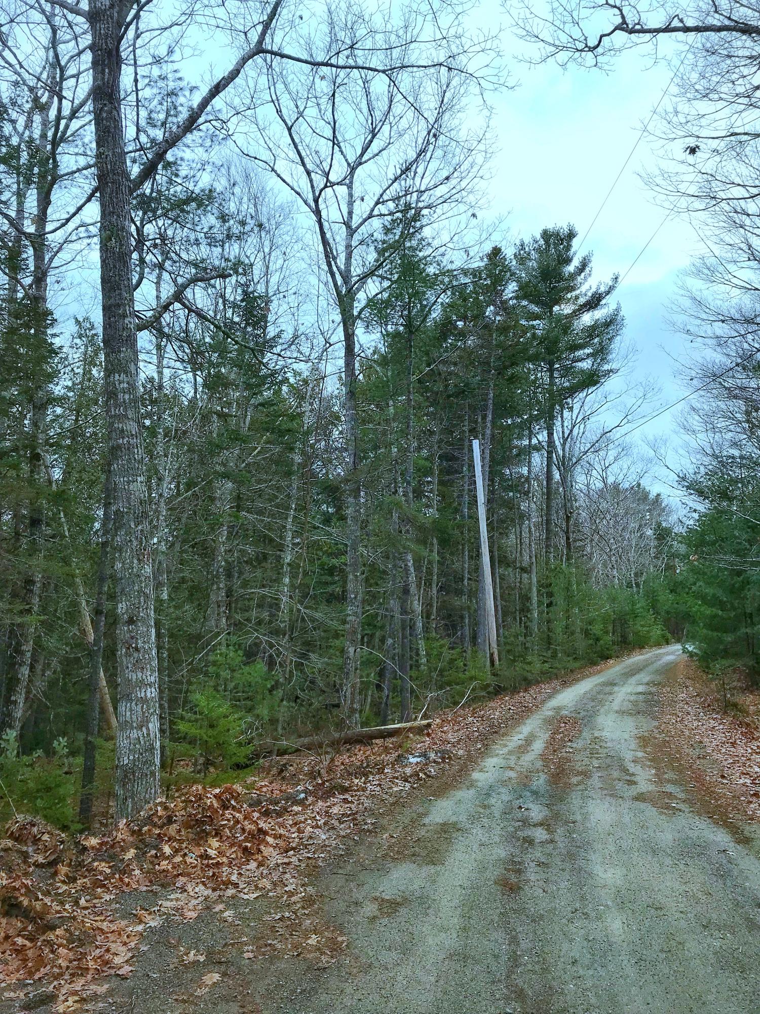 0 Richard's Ridge Road Bar Harbor, ME 04609 - Photo 3 of 6 Lot on Left