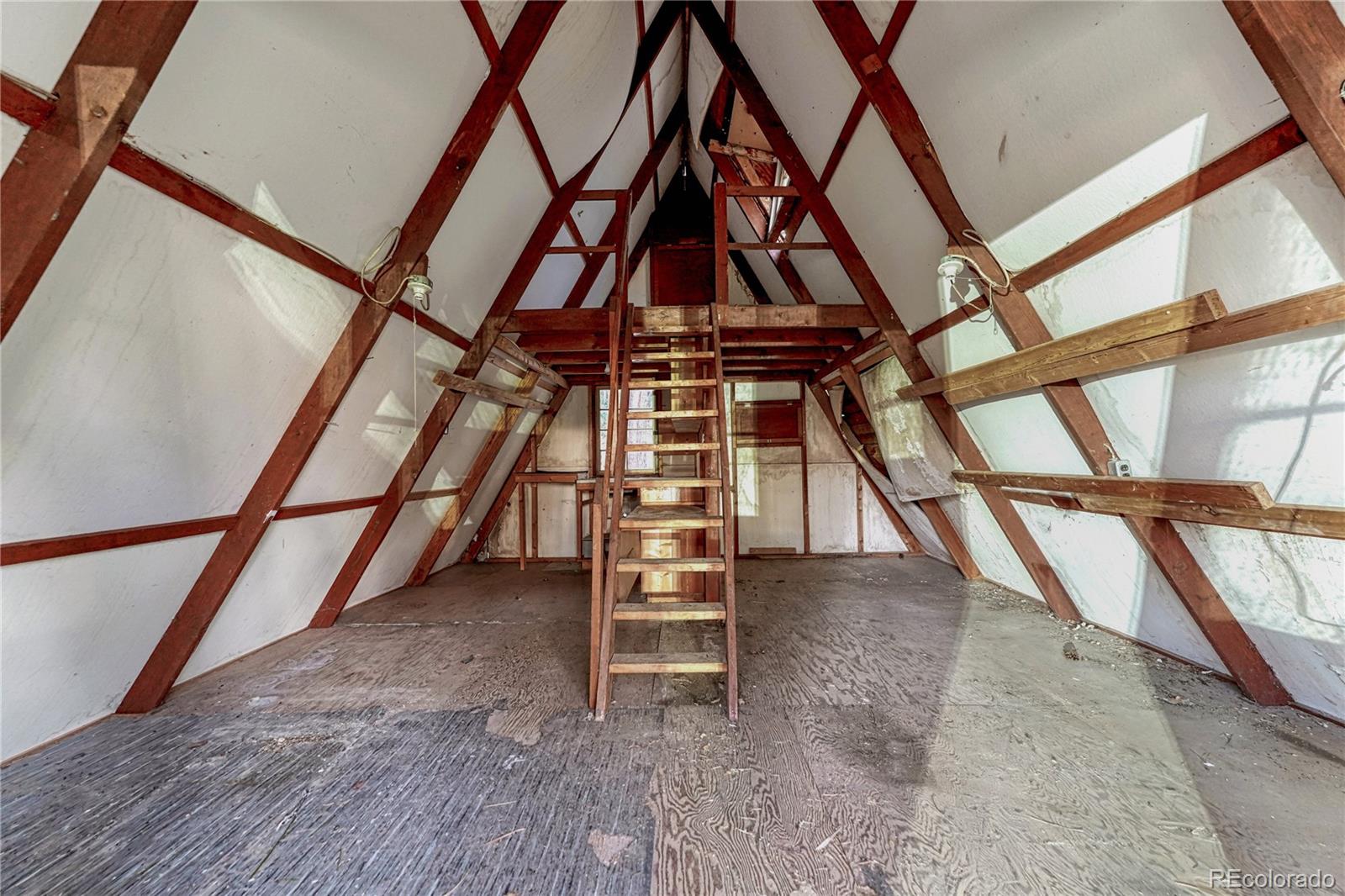 14695 Roller Coaster Road Colorado Springs, CO 80921 - Photo 38 of 49