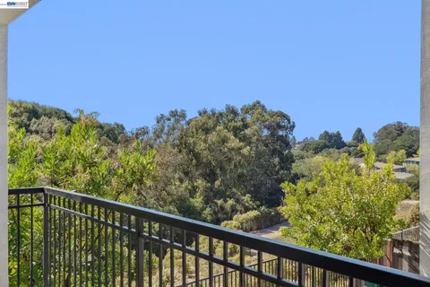 a view of a yard with plants and trees