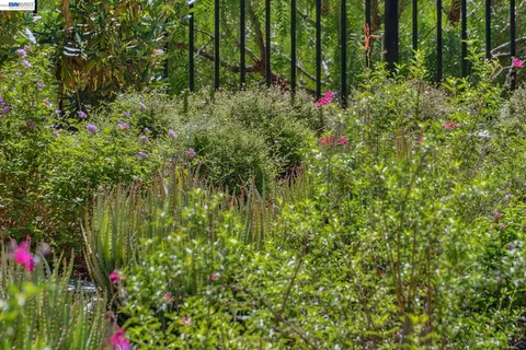 $1,090,000 | 24170 Amaranth Loop, Hayward, CA 94541