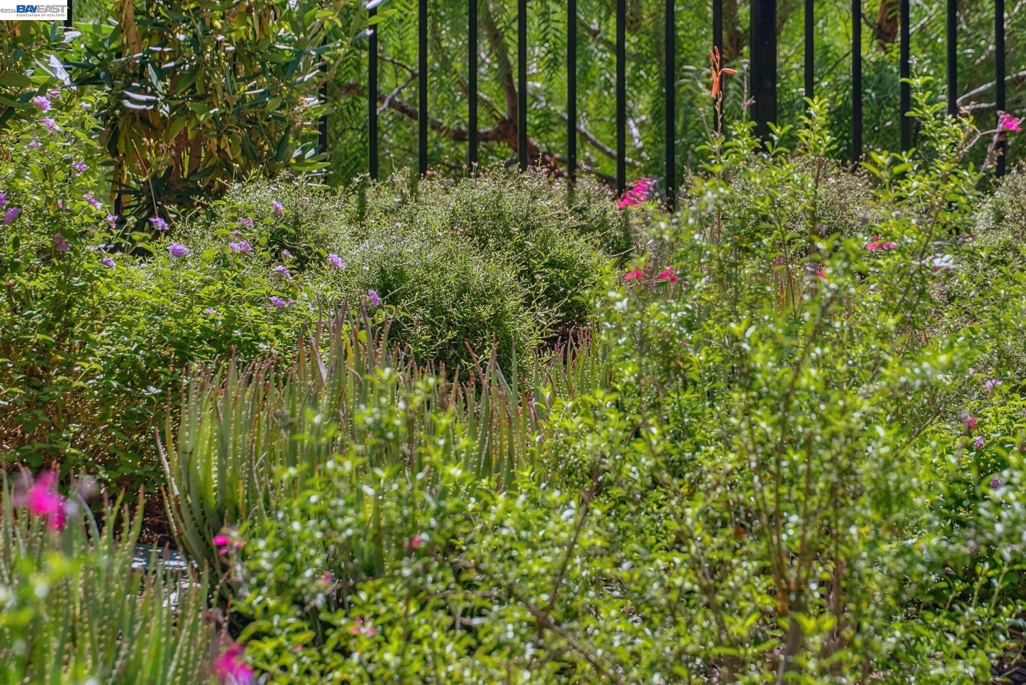 24170 Amaranth Loop Hayward, CA 94541 - Photo 57 of 60