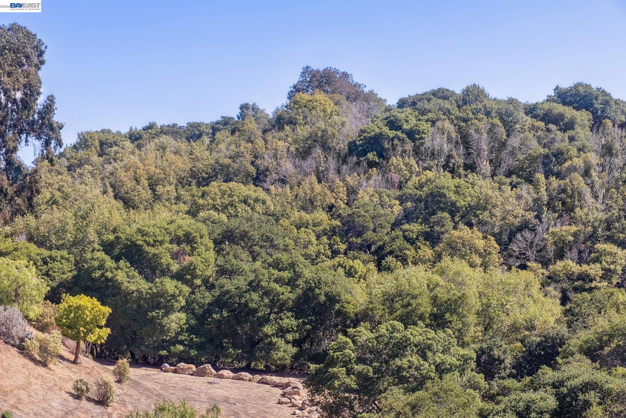 24170 Amaranth Loop Hayward, CA 94541 - Photo 8 of 60