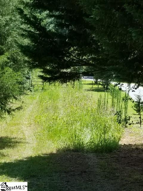 864 Cedar Road Marietta, SC 29661 - Photo 2 of 5