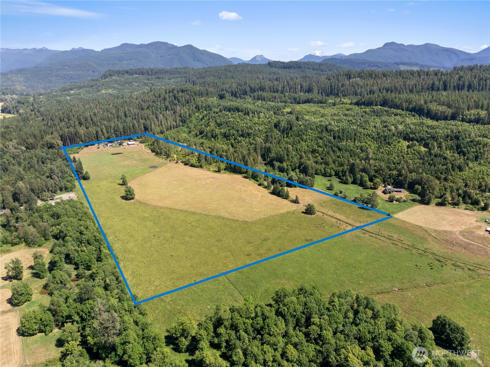 192 Skinner Road Randle, WA 98377 - Photo 5 of 40