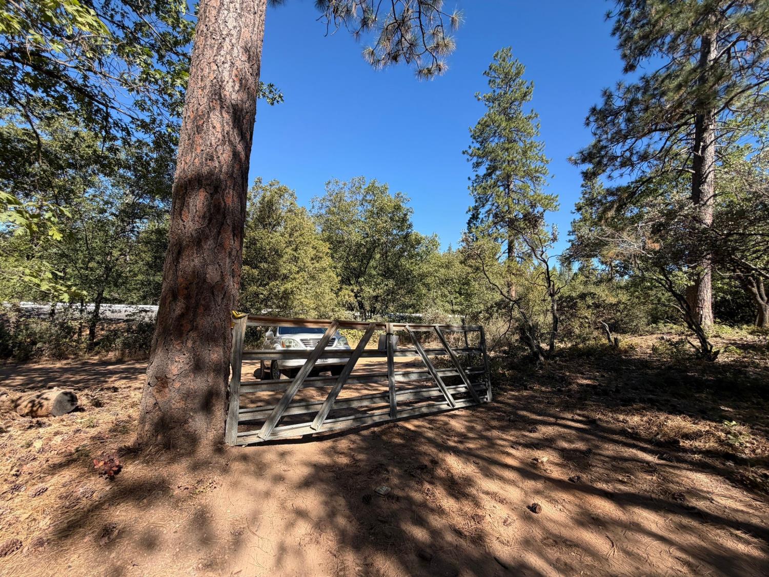 0 Carpenter Road Colfax, CA 95713 - Photo 10 of 38 Gallery Image 10