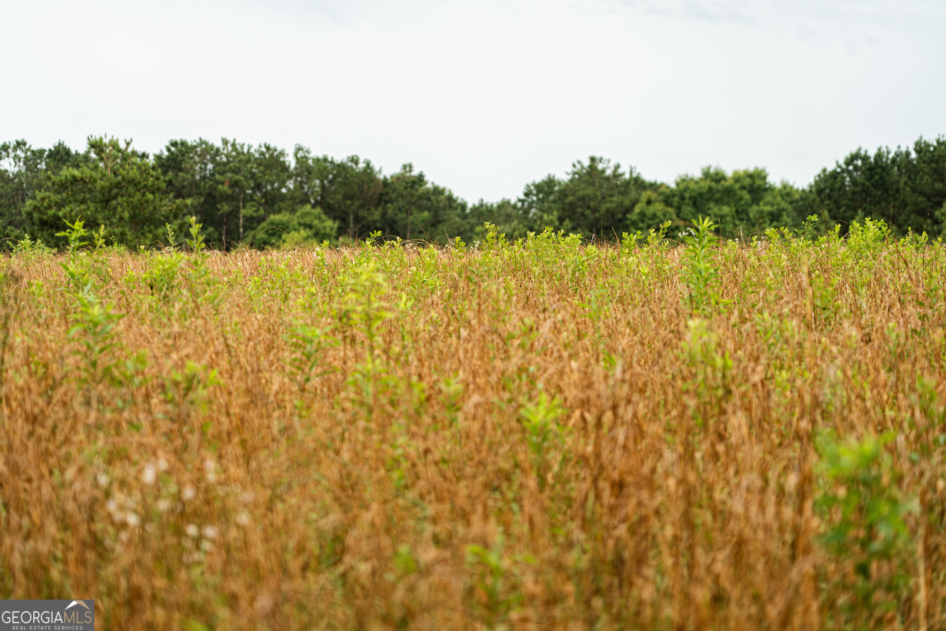 990 Highway 49 Americus, GA 31719 - Photo 47 of 121