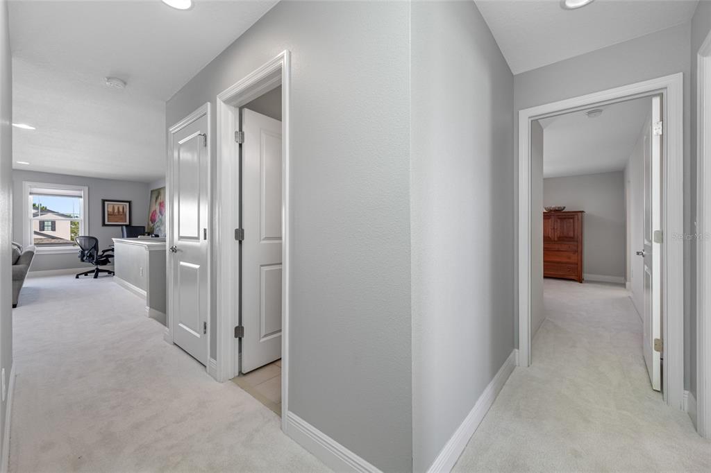 19709 Long Lake Ranch Boulevard Lutz, FL 33558 - Photo 31 of 59