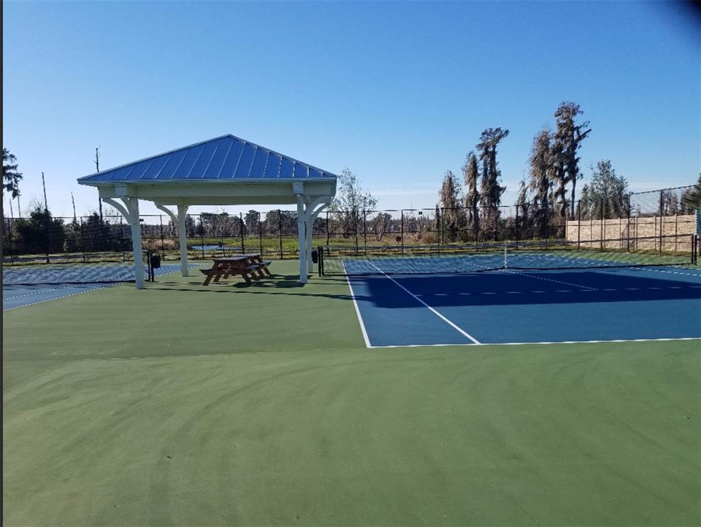 19709 Long Lake Ranch Boulevard Lutz, FL 33558 - Photo 58 of 59