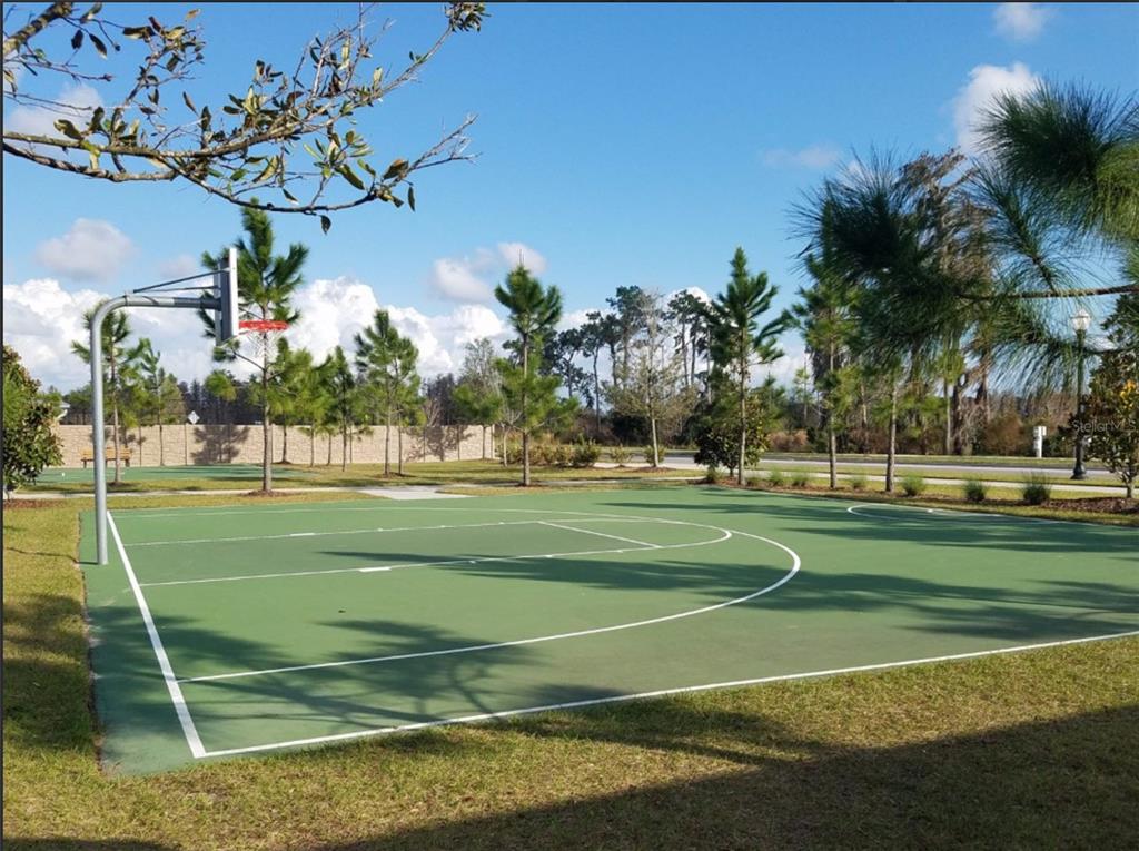 19709 Long Lake Ranch Boulevard Lutz, FL 33558 - Photo 59 of 59