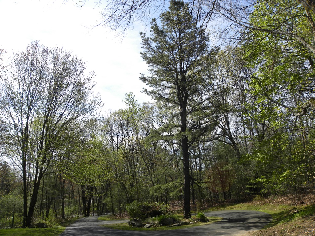 1 High Ridge Road Southborough, MA 01772 - Photo 16 of 17 Gallery Image 16
