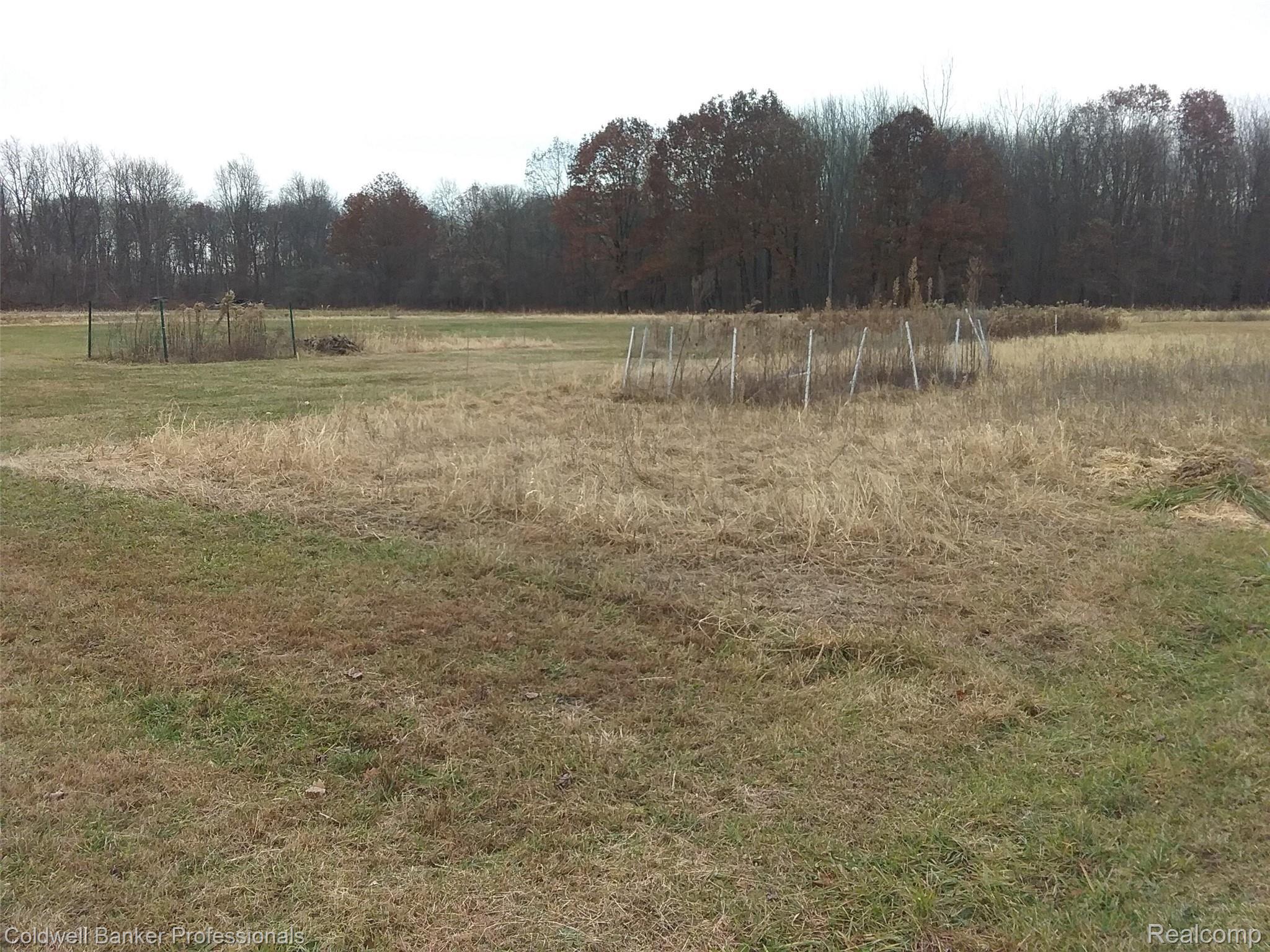7595 South Gale Road Morrice, MI 48857 - Photo 24 of 27 20191125_145549.jpg