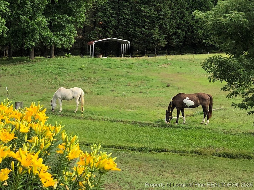 2574 Norrington Road Lillington, NC 27546 - Photo 49 of 50 a house view with a garden space