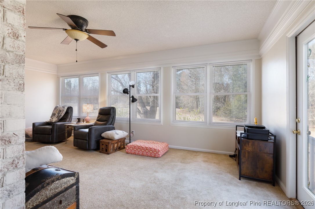 2574 Norrington Road Lillington, NC 27546 - Photo 8 of 50 a living room with furniture and a window