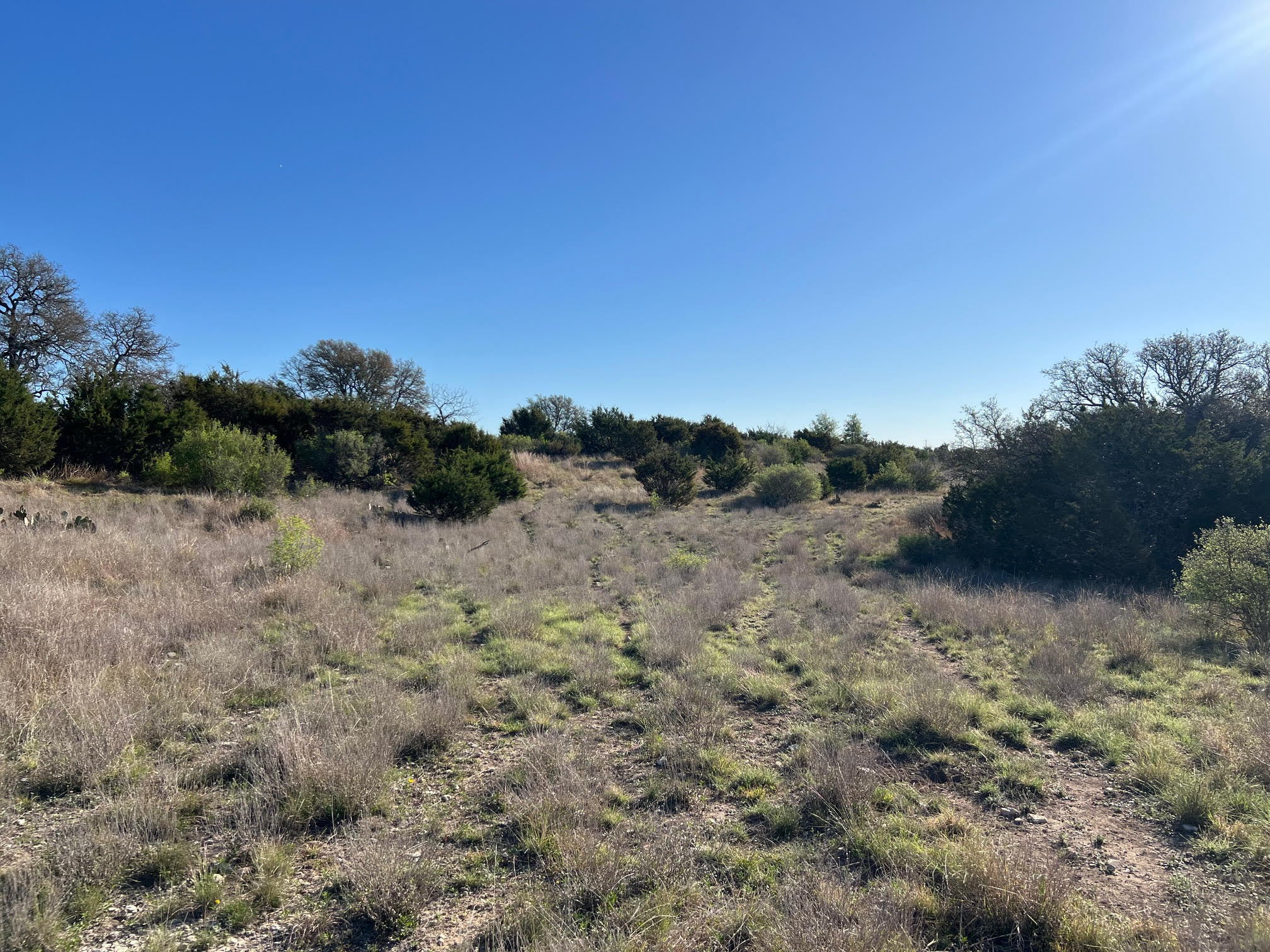 Lot 78 Bluff View Road Kempner, TX 76539 - Photo 2 of 17 a view of a dry yard with trees