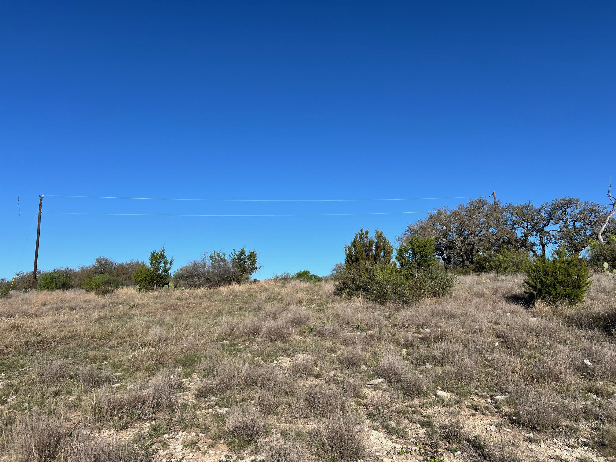 Lot 78 Bluff View Road Kempner, TX 76539 - Photo 3 of 17 a view of a dry yard with trees in the background