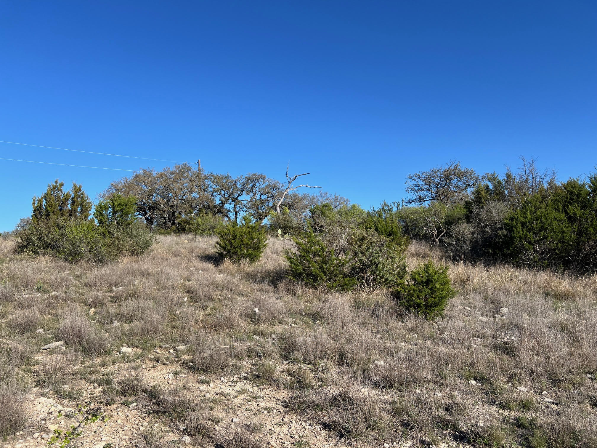 Lot 78 Bluff View Road Kempner, TX 76539 - Photo 4 of 17 a view of a yard with a tree