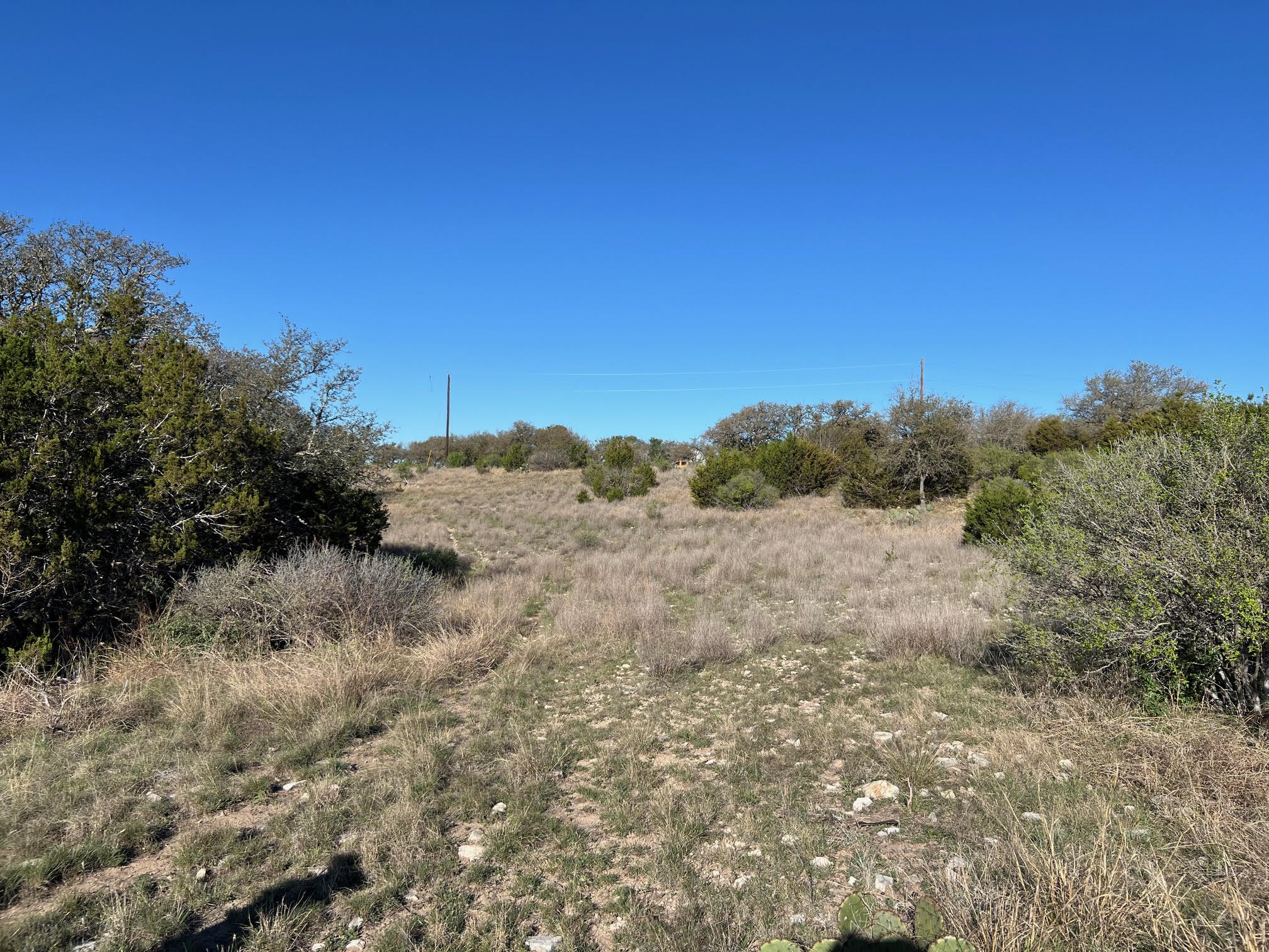Lot 78 Bluff View Road Kempner, TX 76539 - Photo 5 of 17 a view of a dry yard with trees
