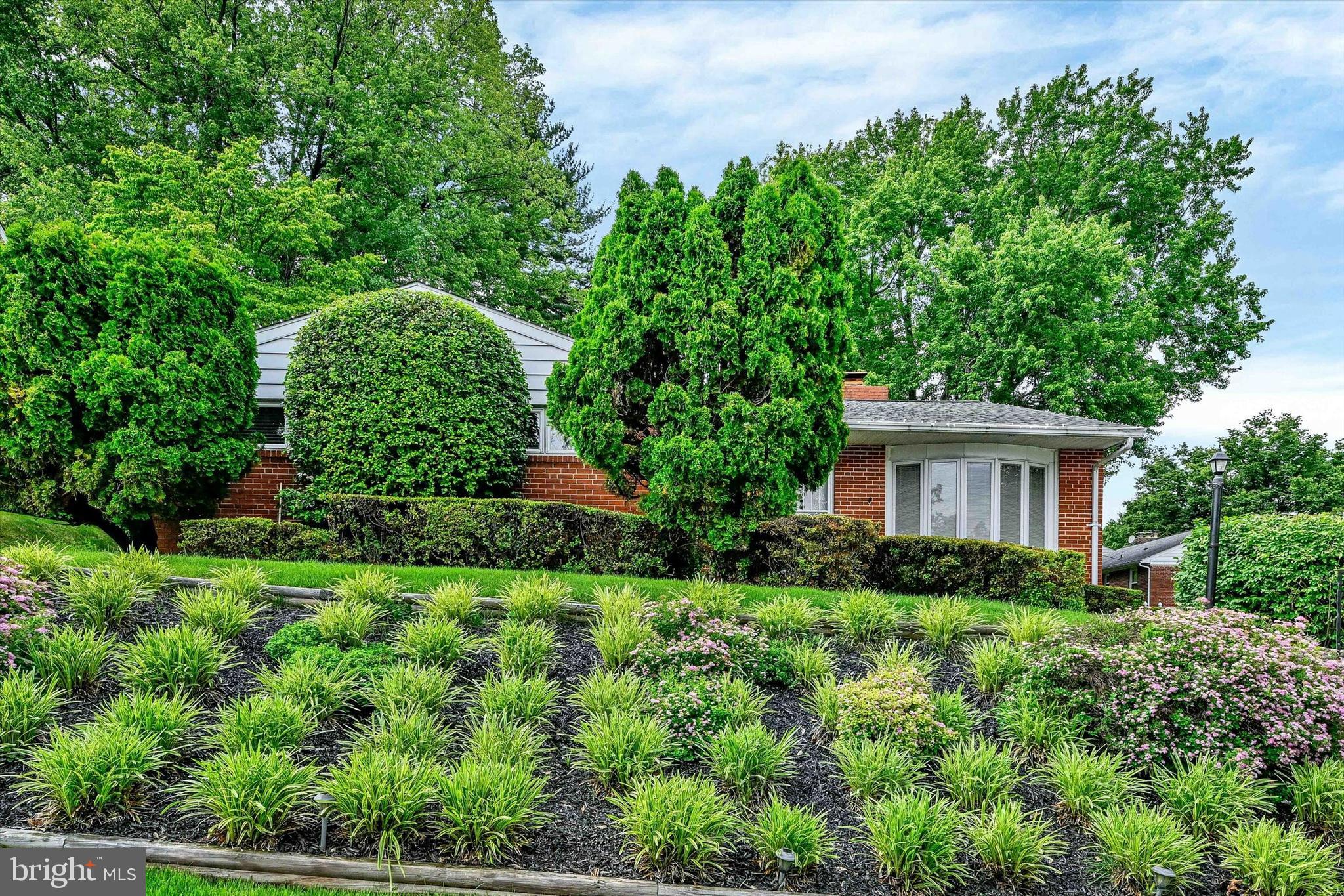 6708 Selkirk Road Baltimore, MD 21239 - Photo 2 of 30 a view of backyard with green space