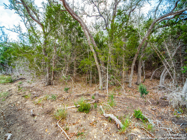 708 Sharp Spgs Road Bulverde, TX 78163 - Photo 7 of 17