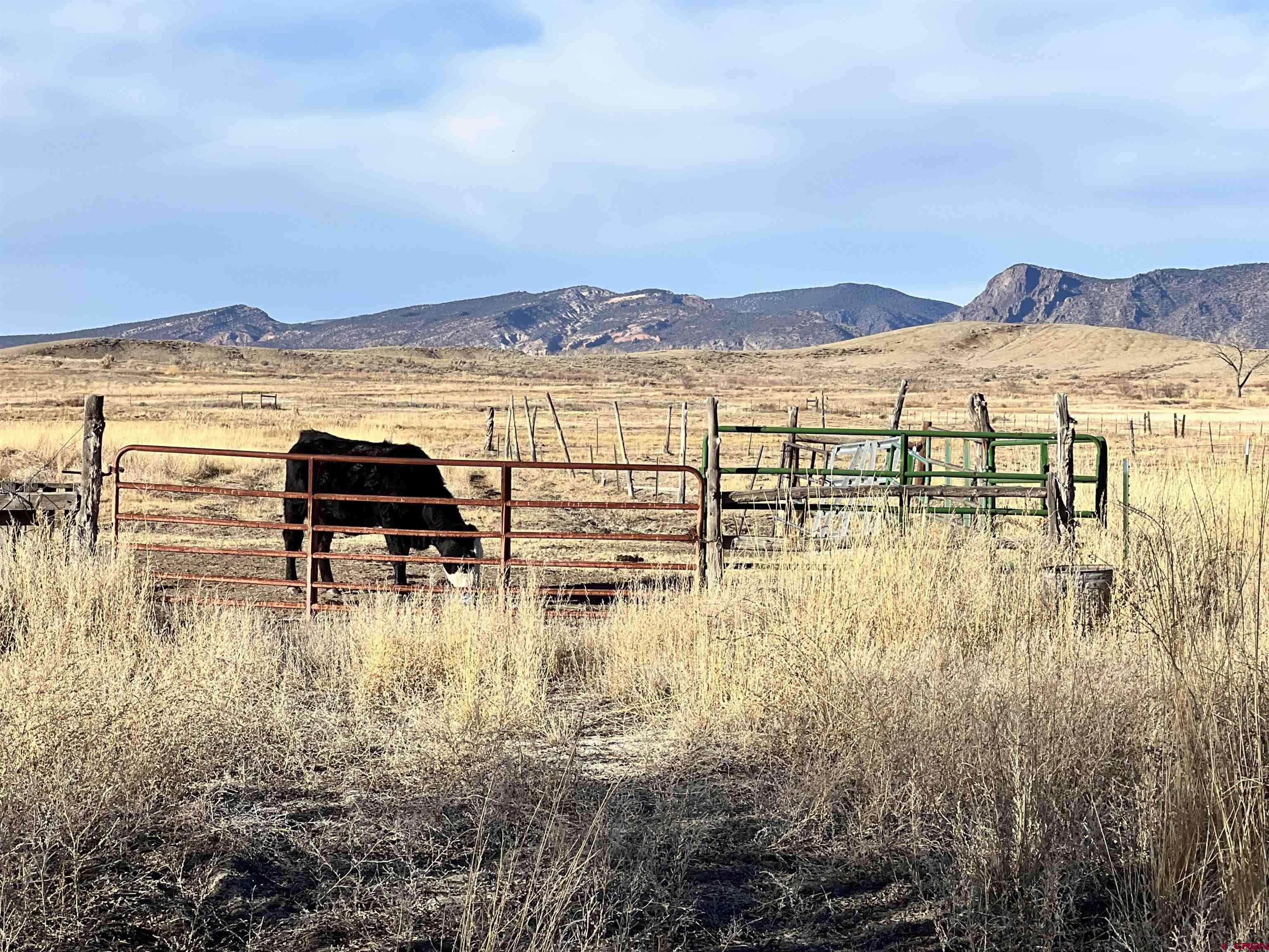 Tract 3 East Oak Grove Road Montrose, CO 81401 - Photo 17 of 18 a view of swimming pool with an ocean view