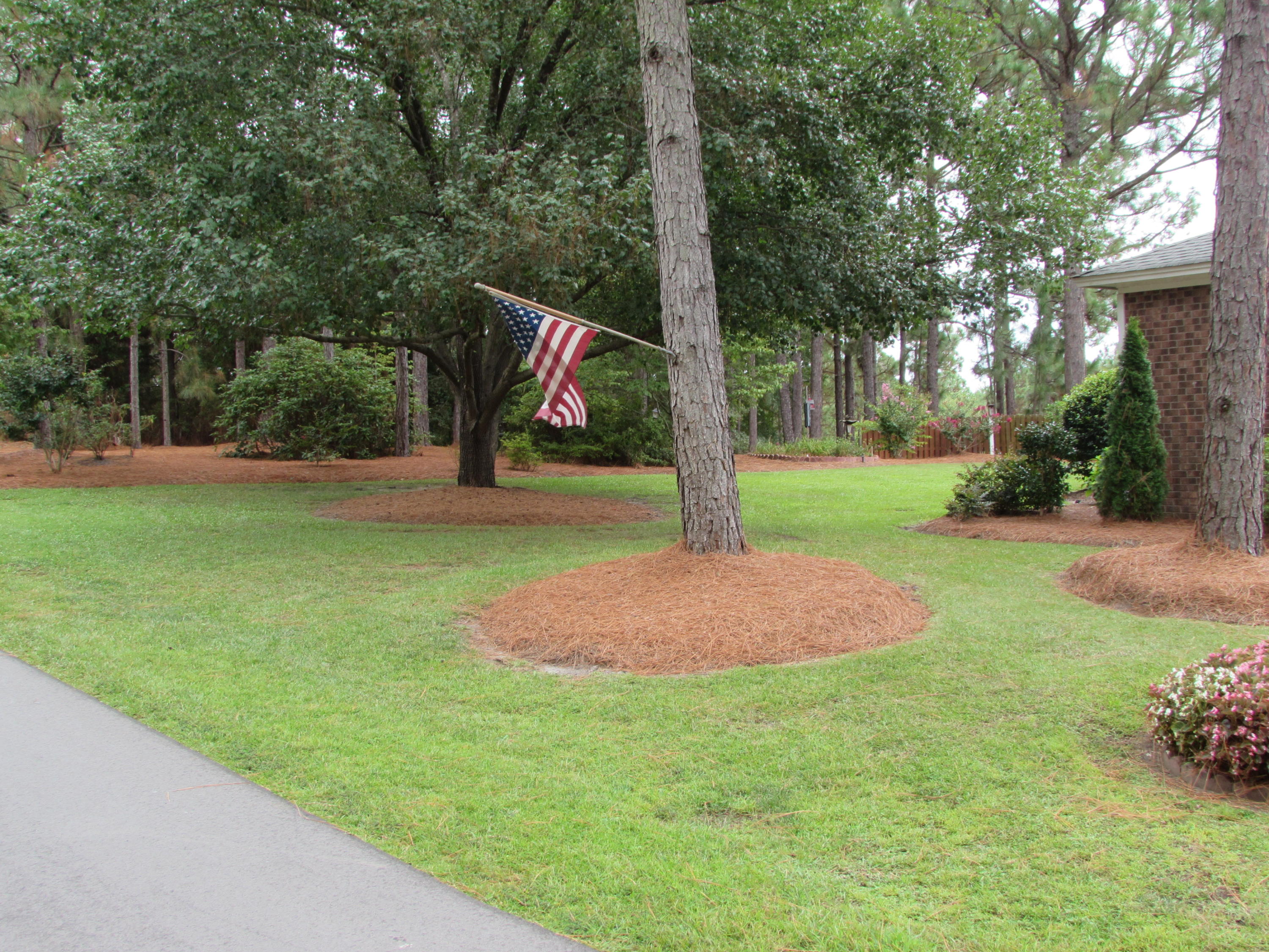 112 Sherwood Road West End, NC 27376 - Photo 2 of 17 112 Sherwood Side yard from front