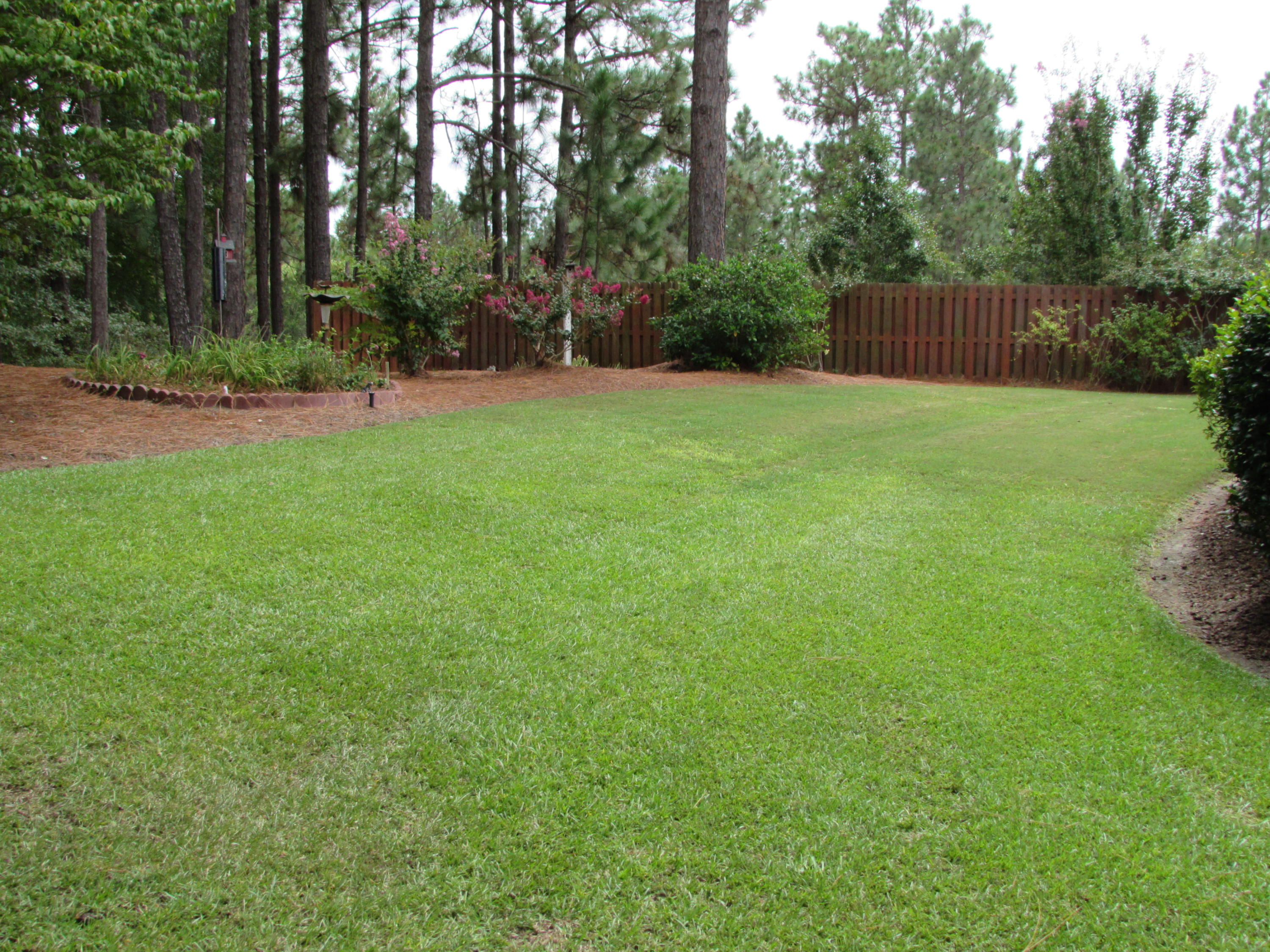 112 Sherwood Road West End, NC 27376 - Photo 3 of 17 112 Sherwood side yard from street