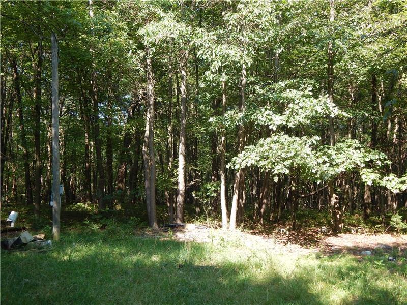 3029 Oneida Valley Road Hilliards, PA 16040 - Photo 13 of 21 WOODED AREA FOR HUNTING