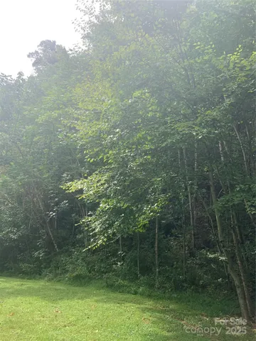 a view of a small yard