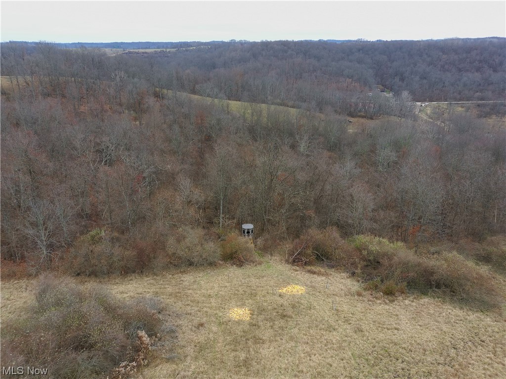View of bird's eye view