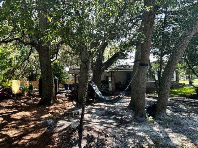 602 South 11th Street Fernandina Beach, FL 32034 - Photo 5 of 14 a view of outdoor space and garden