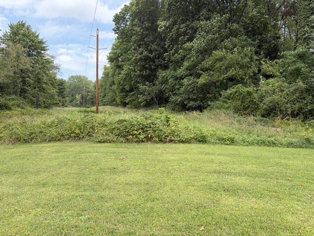 10399 Condit Road Albion, MI 49224 - Photo 38 of 47 2AB378C2-B7AC-4A61-B611-84CD466D79AA_1_1