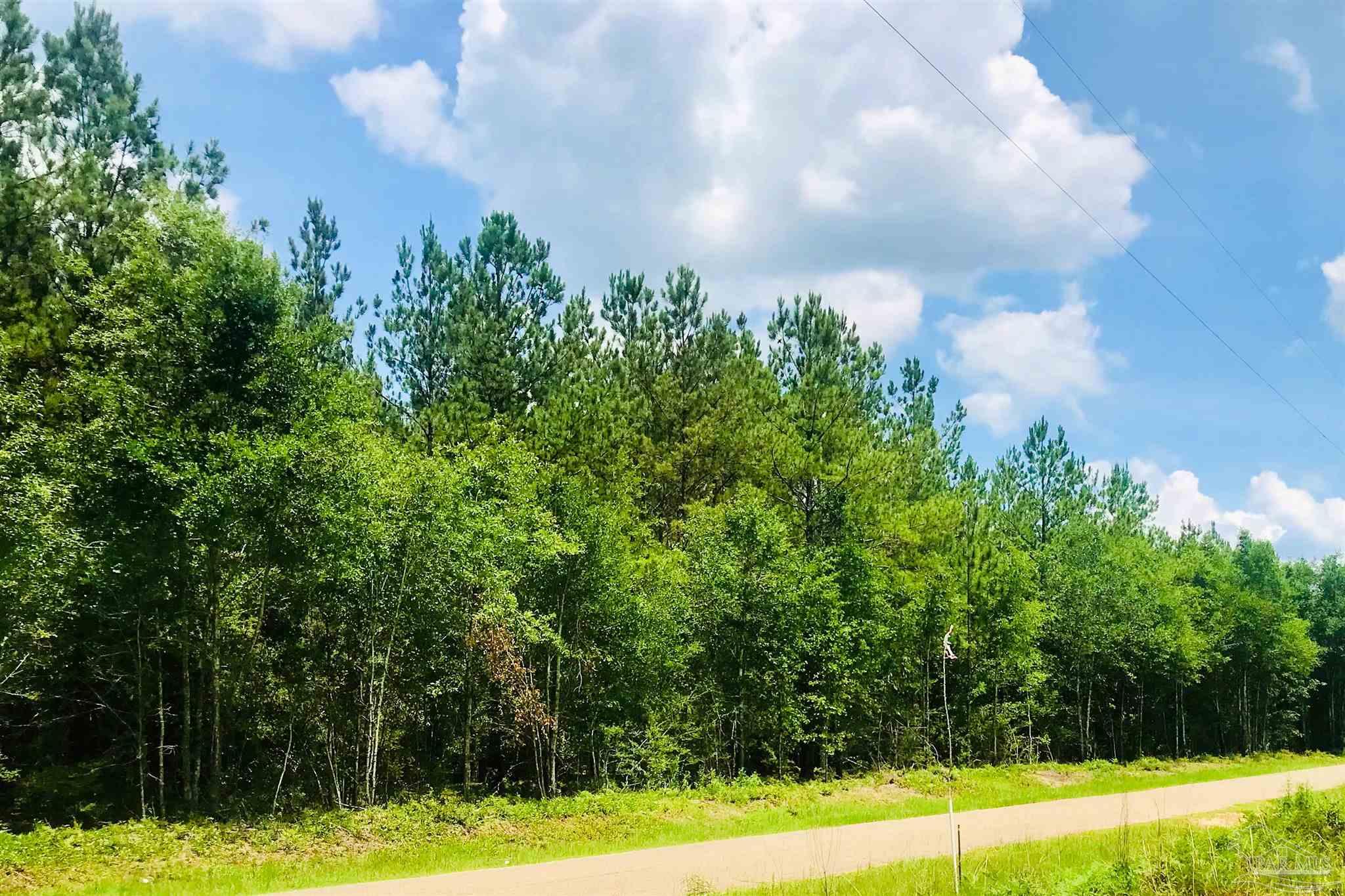 1842 Pineview Church Road Jay, FL 32570 - Photo 1 of 41